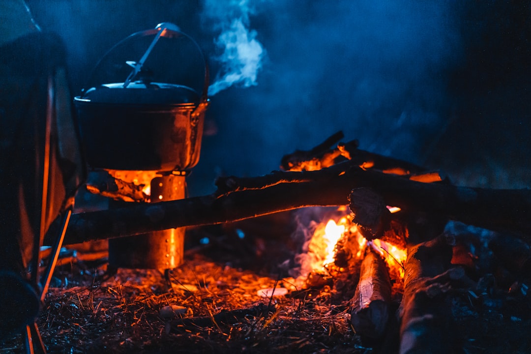 Grand barbecue à couvercle ouvert, grille garnie de viandes et de légumes en cours de cuisson.