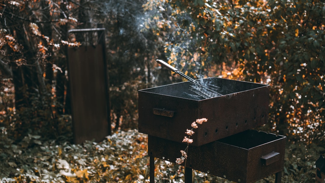Braises de charbon en train de prendre dans un barbecue, allumées sans allume-feu chimique.