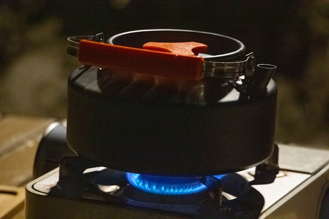 découvrez notre barbecue au charbon portable, idéal pour des grillades savoureuses en plein air, facile à transporter et à utiliser lors de vos déplacements.