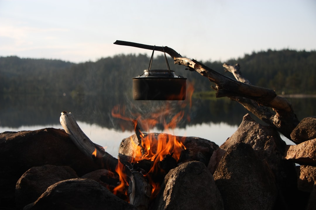 découvrez notre grill portable à charbon, idéal pour des barbecues pratiques et savoureux en plein air. compact, léger et facile à transporter.